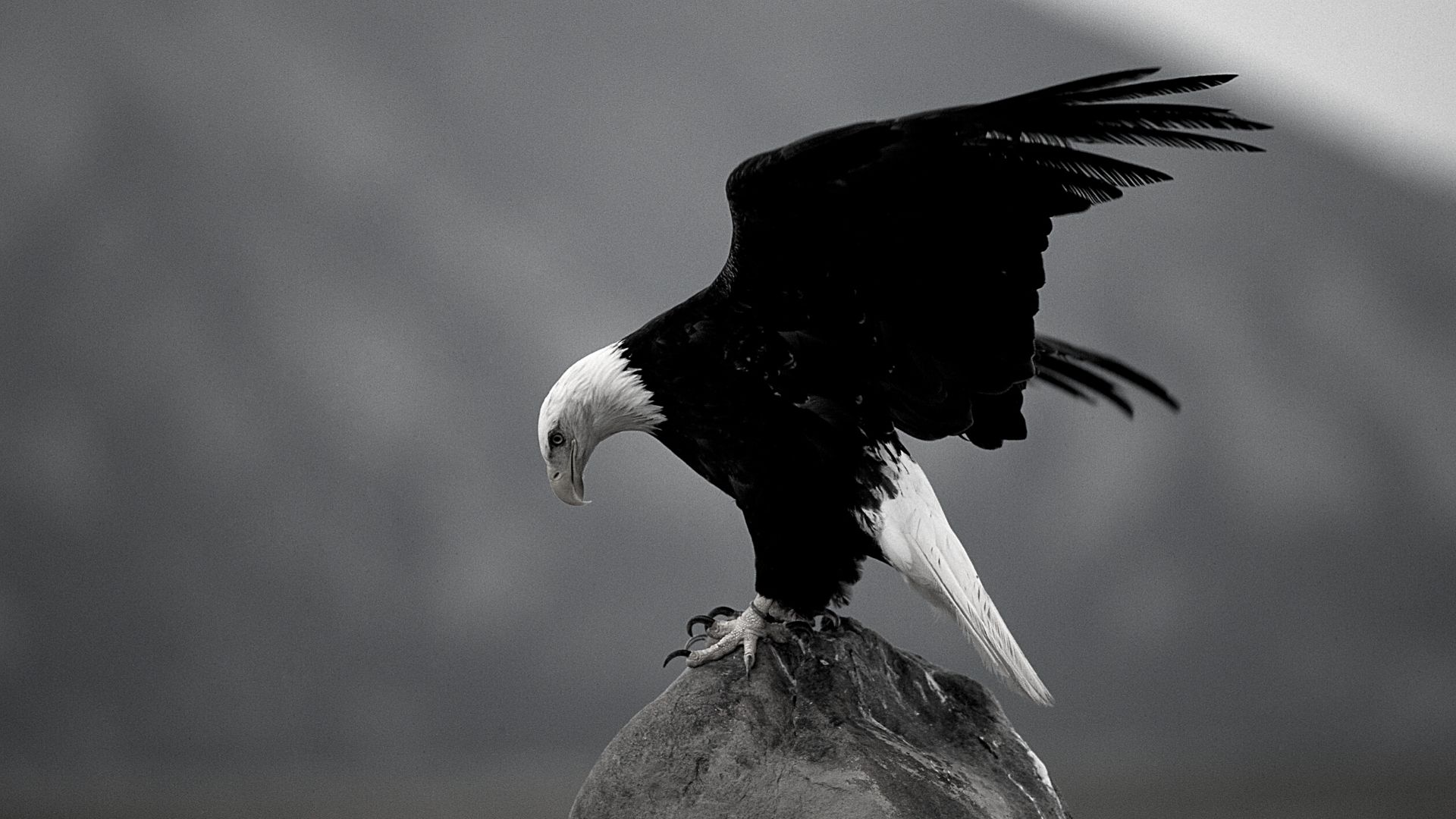 Soaring Eagles He Changed My Life